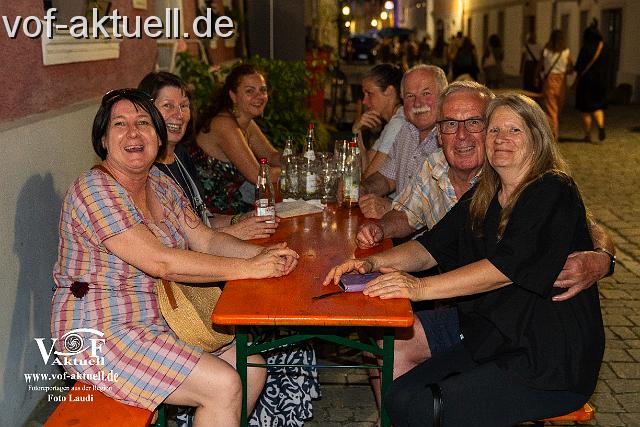 Foto Laudi Donaugassenfest-51.jpg
